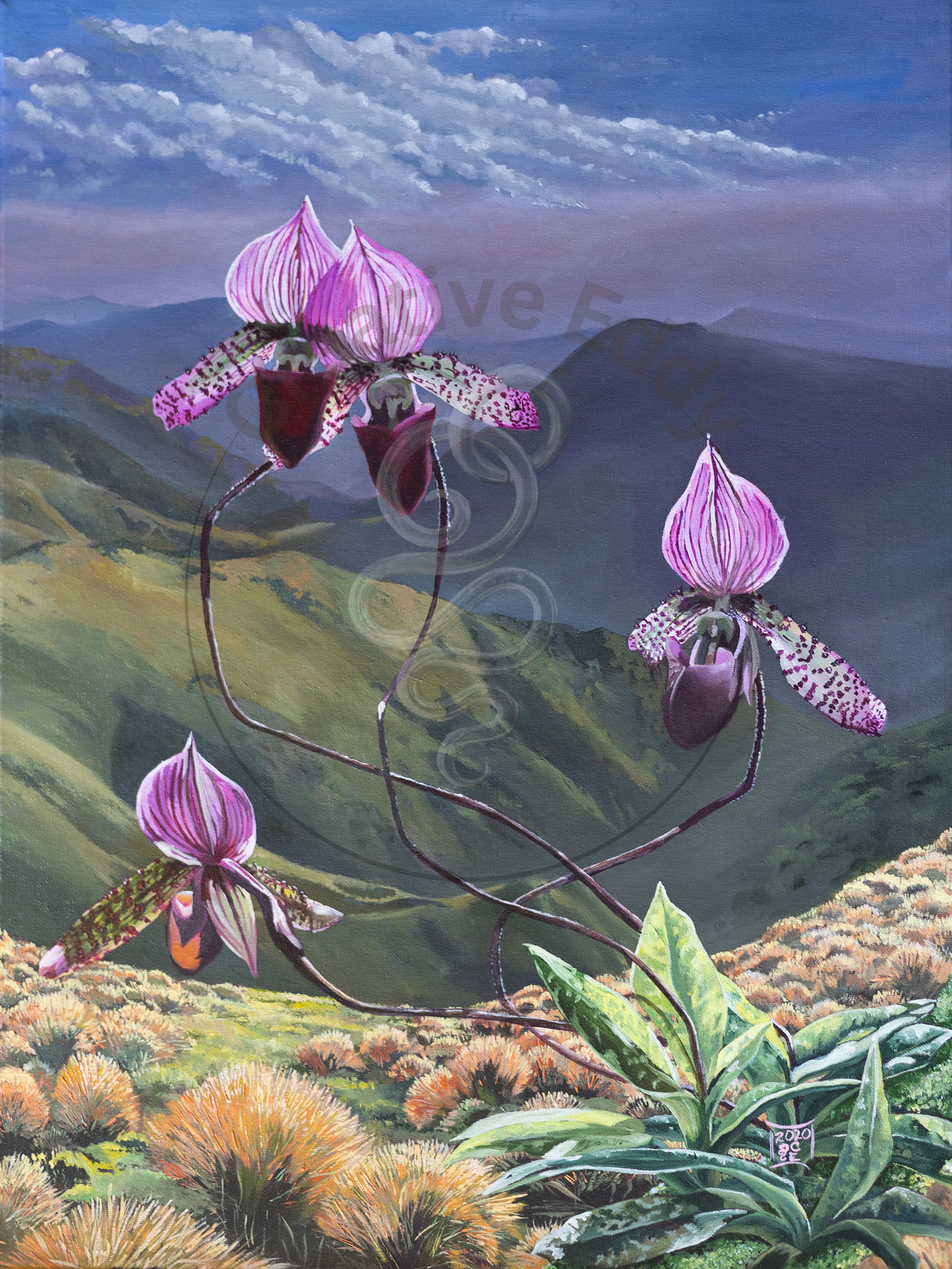 Backlit Orchids Canvas Print – Soft Botanical Wall Art, Modern Floral Home Decor